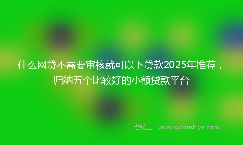 什么网贷不需要审核就可以下贷款2025年推荐，归纳五个比较好的小额贷款平台