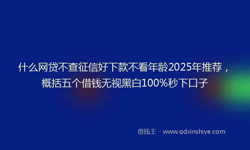 什么网贷不查征信好下款不看年龄2025年推荐，概括五个借钱无视黑白100%秒下口子