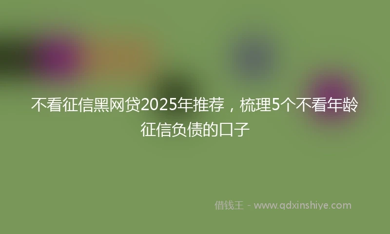 不看征信黑网贷2025年推荐，梳理5个不看年龄征信负债的口子