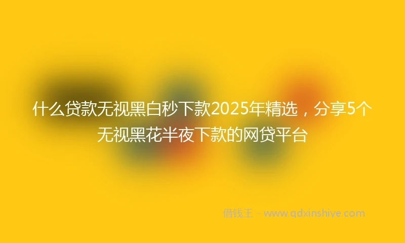 什么贷款无视黑白秒下款2025年精选，分享5个无视黑花半夜下款的网贷平台