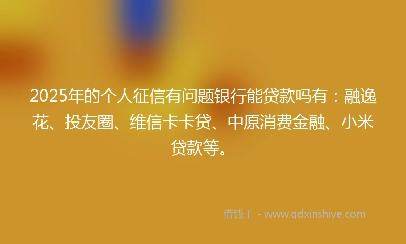 2025年的个人征信有问题银行能贷款吗有：融逸花、投友圈、维信卡卡贷、中原消费金融、小米贷款等。