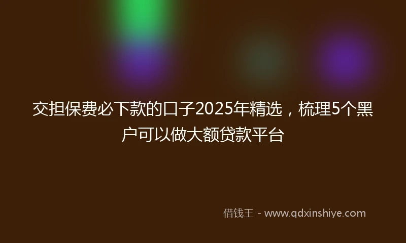 交担保费必下款的口子2025年精选，梳理5个黑户可以做大额贷款平台