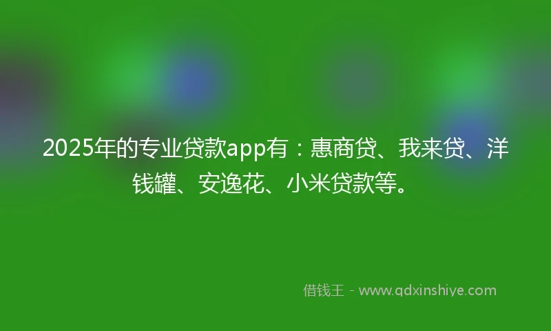 2025年的专业贷款app有：惠商贷、我来贷、洋钱罐、安逸花、小米贷款等。