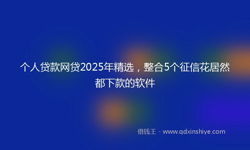个人贷款网贷2025年精选，整合5个征信花居然都下款的软件