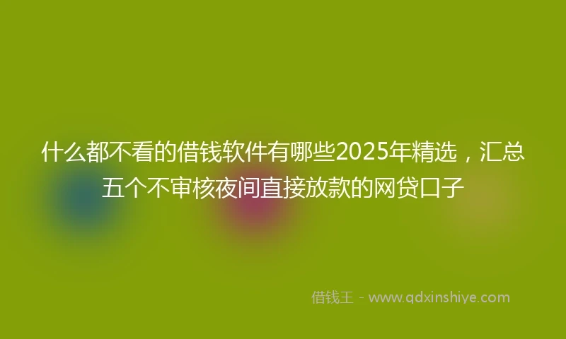 什么都不看的借钱软件有哪些2025年精选，汇总五个不审核夜间直接放款的网贷口子