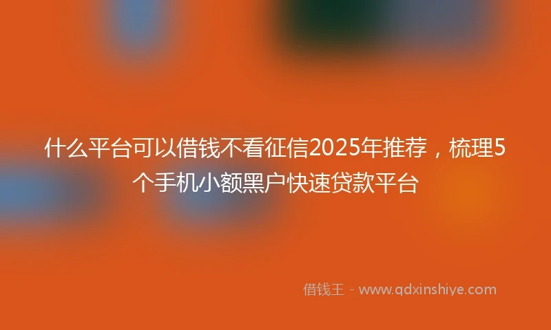 什么平台可以借钱不看征信2025年推荐，梳理5个手机小额黑户快速贷款平台