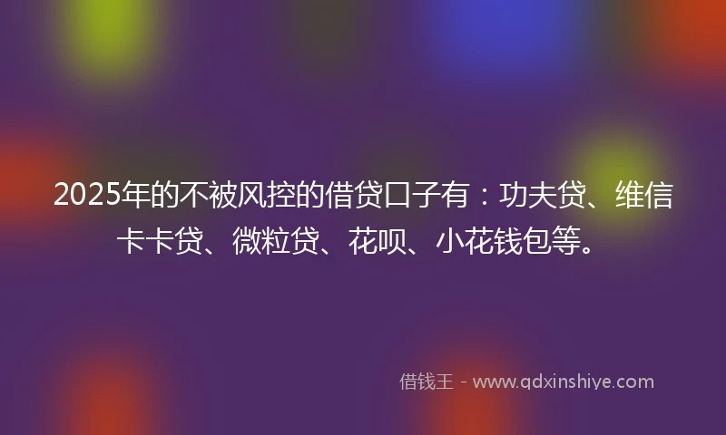 2025年的不被风控的借贷口子有：功夫贷、维信卡卡贷、微粒贷、花呗、小花钱包等。