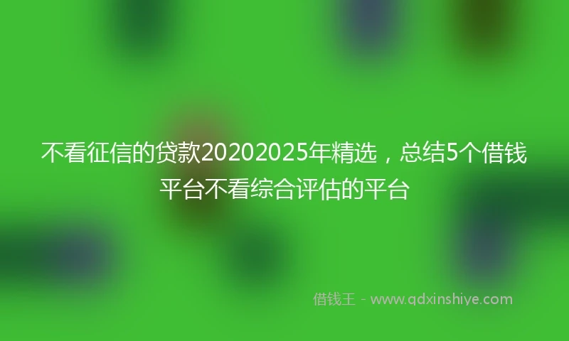 不看征信的贷款20202025年精选，总结5个借钱平台不看综合评估的平台