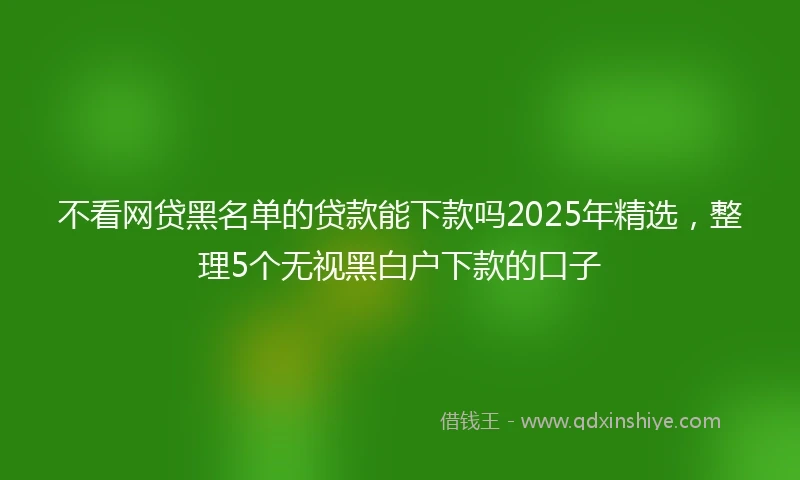 不看网贷黑名单的贷款能下款吗2025年精选，整理5个无视黑白户下款的口子