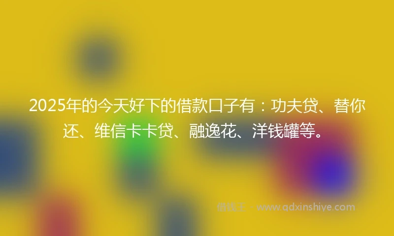 2025年的今天好下的借款口子有：功夫贷、替你还、维信卡卡贷、融逸花、洋钱罐等。