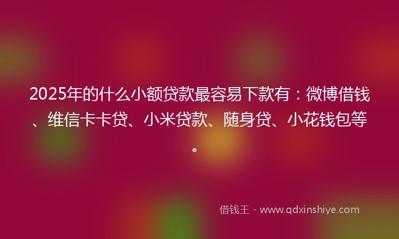 2025年的什么小额贷款最容易下款有：微博借钱、维信卡卡贷、小米贷款、随身贷、小花钱包等。