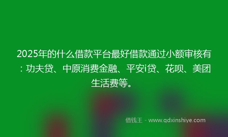 2025年的什么借款平台最好借款通过小额审核有：功夫贷、中原消费金融、平安i贷、花呗、美团生活费等。