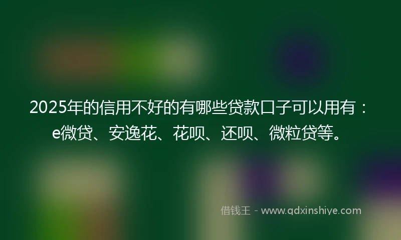 2025年的信用不好的有哪些贷款口子可以用有：e微贷、安逸花、花呗、还呗、微粒贷等。