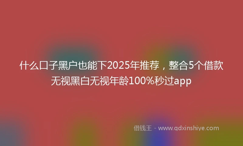 什么口子黑户也能下2025年推荐，整合5个借款无视黑白无视年龄100%秒过app
