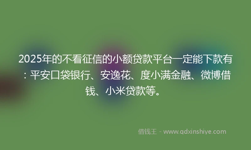 2025年的不看征信的小额贷款平台一定能下款有：平安口袋银行、安逸花、度小满金融、微博借钱、小米贷款等。