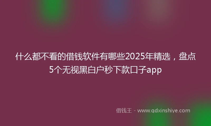 什么都不看的借钱软件有哪些2025年精选，盘点5个无视黑白户秒下款口子app