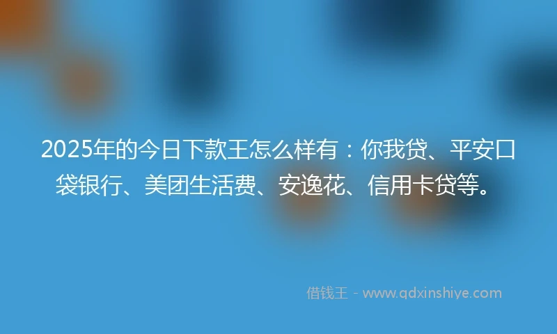 2025年的今日下款王怎么样有：你我贷、平安口袋银行、美团生活费、安逸花、信用卡贷等。