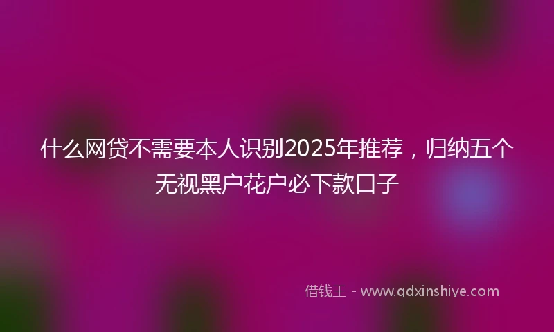 什么网贷不需要本人识别2025年推荐，归纳五个无视黑户花户必下款口子