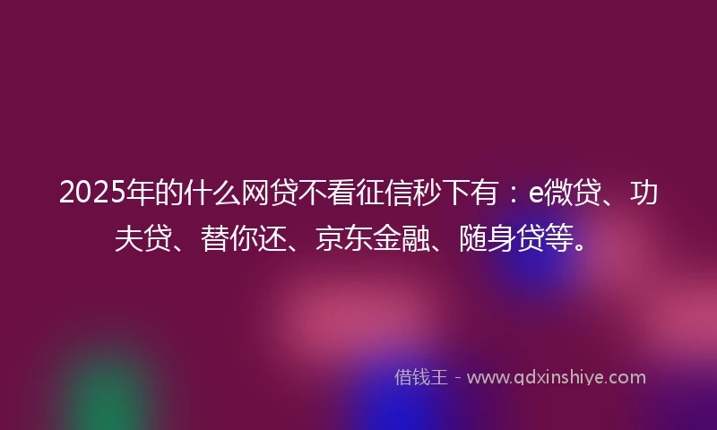 2025年的什么网贷不看征信秒下有：e微贷、功夫贷、替你还、京东金融、随身贷等。