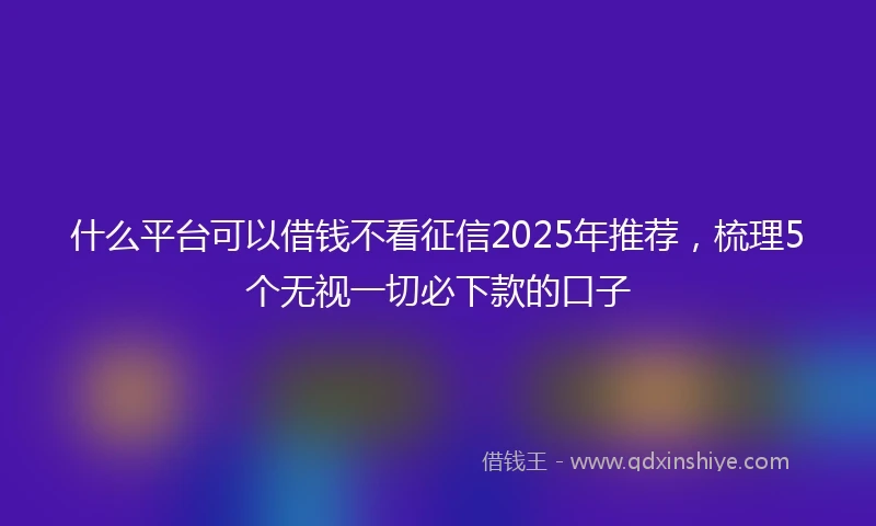 什么平台可以借钱不看征信2025年推荐，梳理5个无视一切必下款的口子