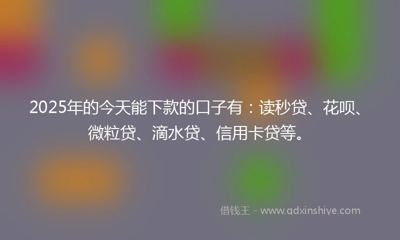 2025年的今天能下款的口子有：读秒贷、花呗、微粒贷、滴水贷、信用卡贷等。