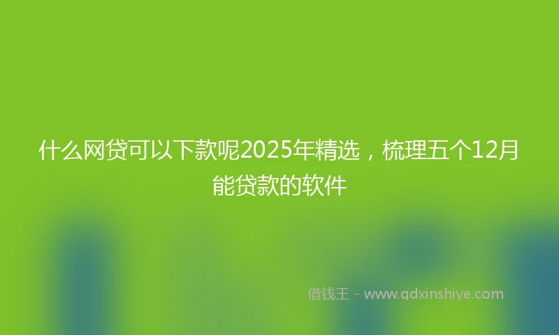什么网贷可以下款呢2025年精选，梳理五个12月能贷款的软件