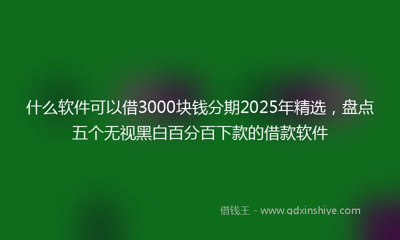 什么软件可以借3000块钱分期2025年精选，盘点五个无视黑白百分百下款的借款软件