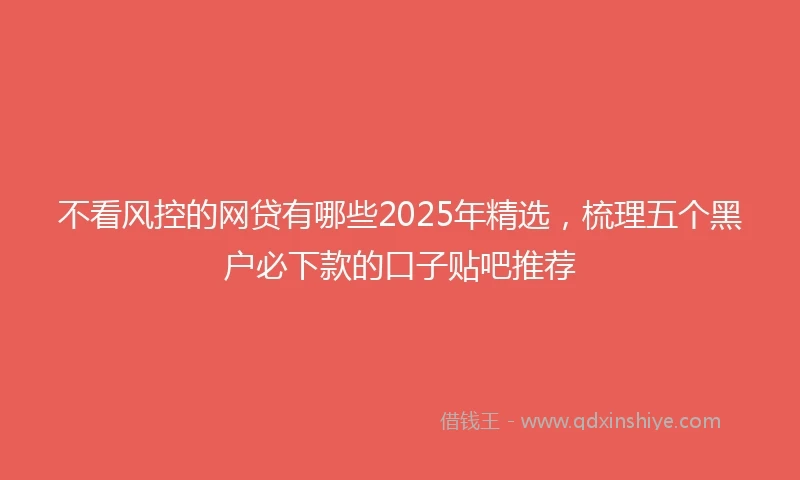 不看风控的网贷有哪些2025年精选，梳理五个黑户必下款的口子贴吧推荐