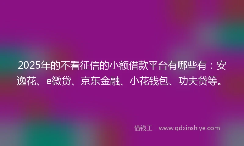 2025年的不看征信的小额借款平台有哪些有：安逸花、e微贷、京东金融、小花钱包、功夫贷等。