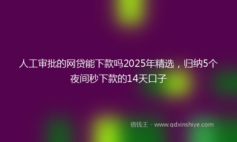 人工审批的网贷能下款吗2025年精选，归纳5个夜间秒下款的14天口子