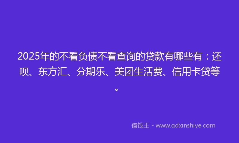 2025年的不看负债不看查询的贷款有哪些有：还呗、东方汇、分期乐、美团生活费、信用卡贷等。