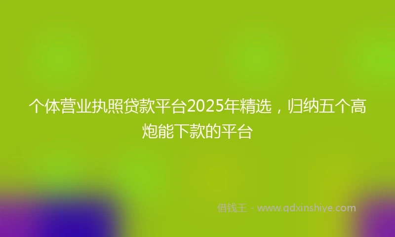 个体营业执照贷款平台2025年精选，归纳五个高炮能下款的平台