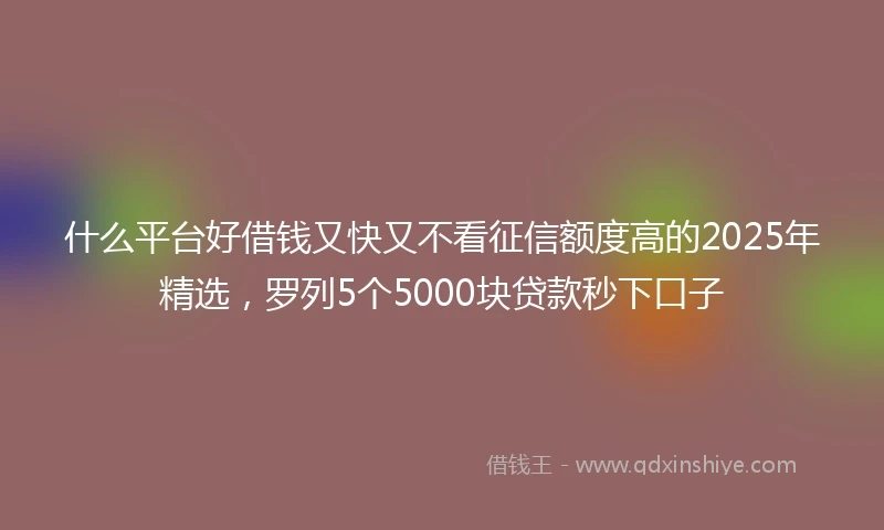 什么平台好借钱又快又不看征信额度高的2025年精选，罗列5个5000块贷款秒下口子