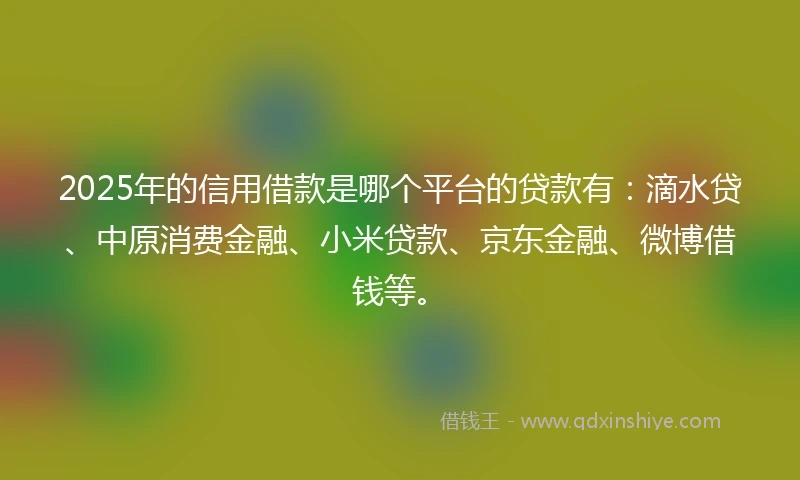 2025年的信用借款是哪个平台的贷款有：滴水贷、中原消费金融、小米贷款、京东金融、微博借钱等。
