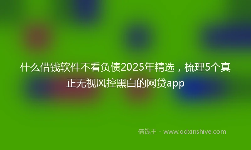 什么借钱软件不看负债2025年精选，梳理5个真正无视风控黑白的网贷app