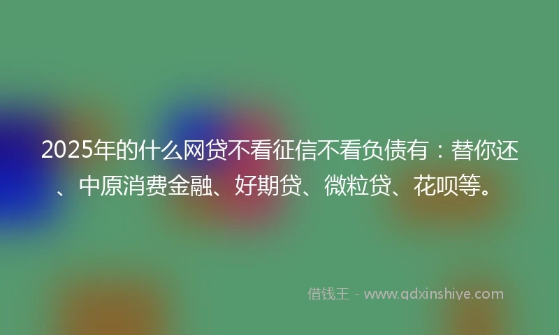 2025年的什么网贷不看征信不看负债有：替你还、中原消费金融、好期贷、微粒贷、花呗等。