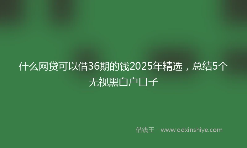 什么网贷可以借36期的钱2025年精选，总结5个无视黑白户口子