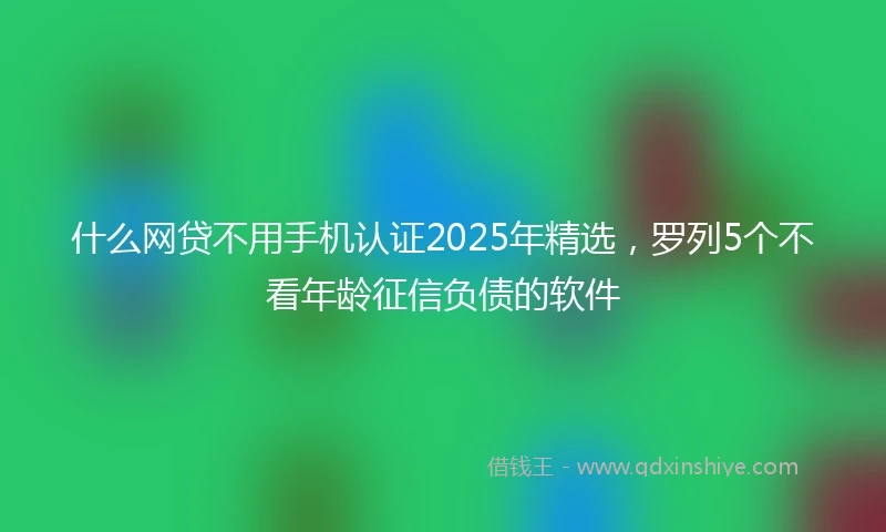 什么网贷不用手机认证2025年精选，罗列5个不看年龄征信负债的软件