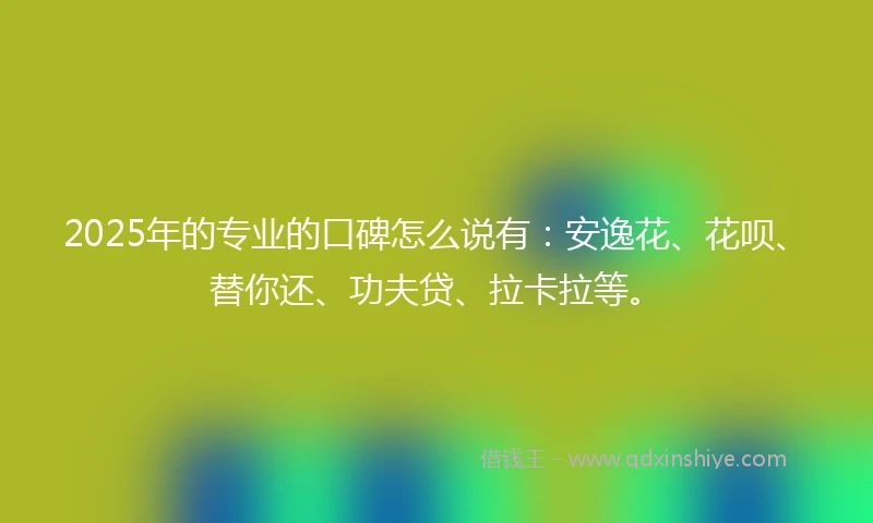 2025年的专业的口碑怎么说有：安逸花、花呗、替你还、功夫贷、拉卡拉等。