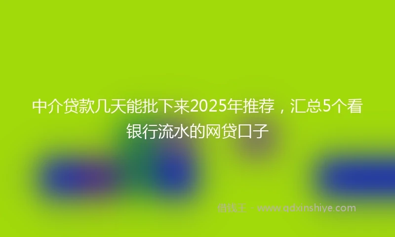 中介贷款几天能批下来2025年推荐，汇总5个看银行流水的网贷口子