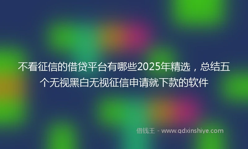 不看征信的借贷平台有哪些2025年精选，总结五个无视黑白无视征信申请就下款的软件