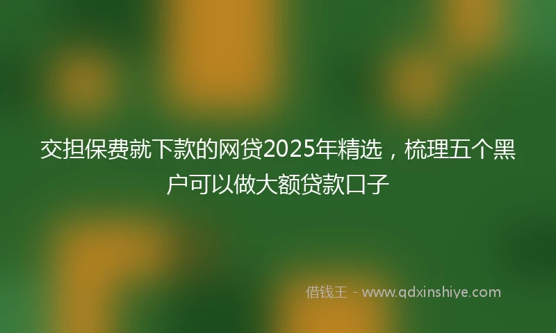 交担保费就下款的网贷2025年精选，梳理五个黑户可以做大额贷款口子