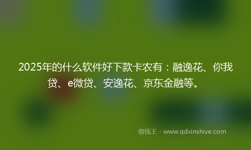 2025年的什么软件好下款卡农有：融逸花、你我贷、e微贷、安逸花、京东金融等。