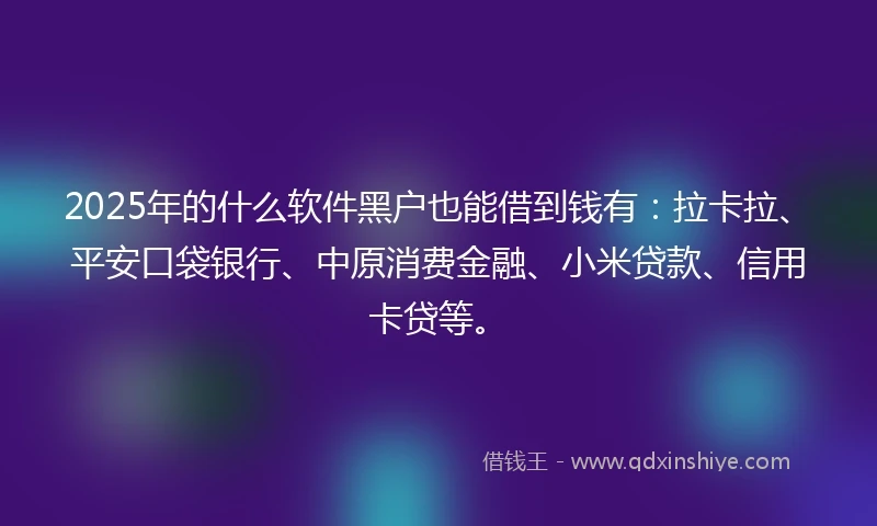 2025年的什么软件黑户也能借到钱有：拉卡拉、平安口袋银行、中原消费金融、小米贷款、信用卡贷等。