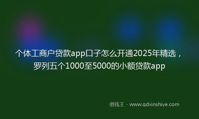 个体工商户贷款app口子怎么开通2025年精选，罗列五个1000至5000的小额贷款app