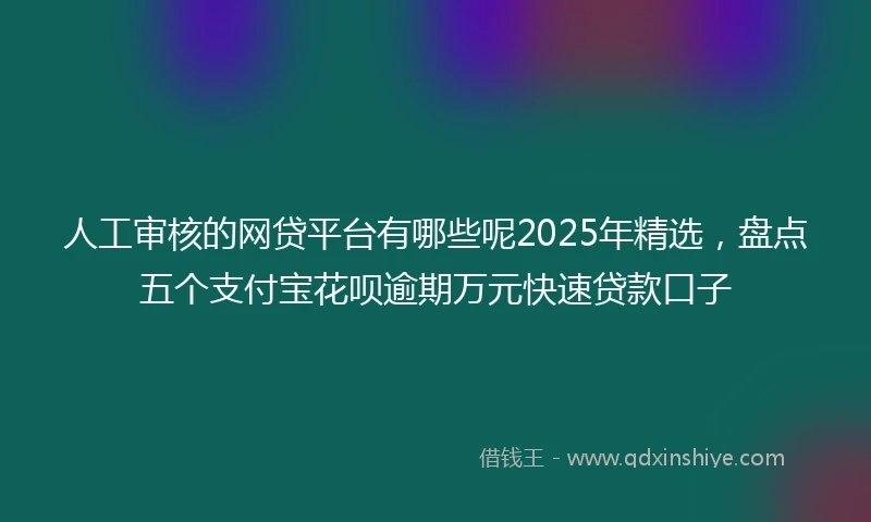 人工审核的网贷平台有哪些呢2025年精选，盘点五个支付宝花呗逾期万元快速贷款口子