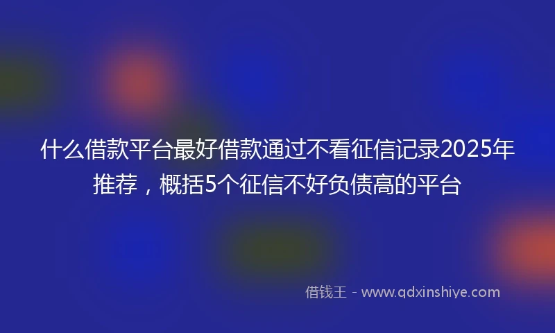 什么借款平台最好借款通过不看征信记录2025年推荐，概括5个征信不好负债高的平台