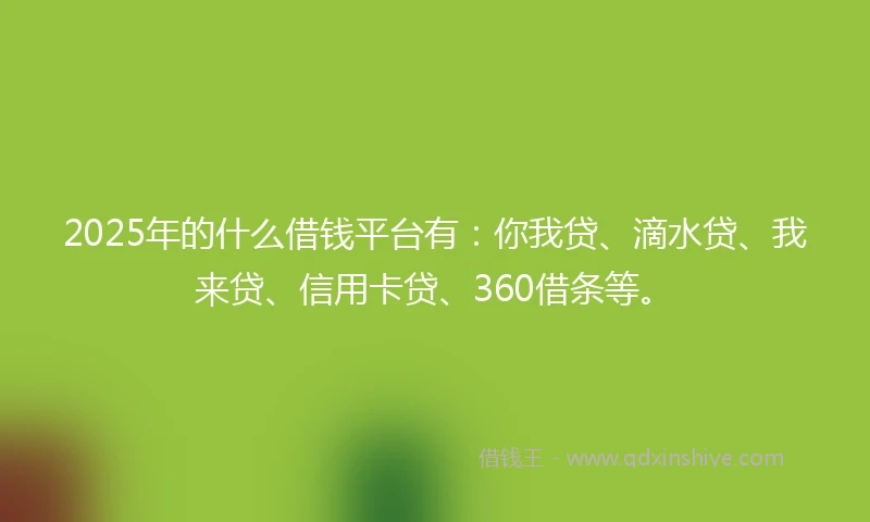 2025年的什么借钱平台有：你我贷、滴水贷、我来贷、信用卡贷、360借条等。
