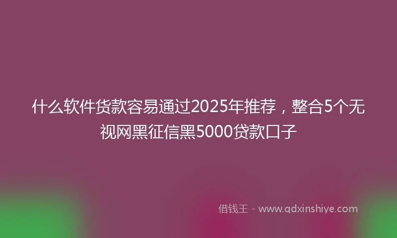 什么软件货款容易通过2025年推荐，整合5个无视网黑征信黑5000贷款口子