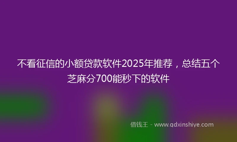 不看征信的小额贷款软件2025年推荐，总结五个芝麻分700能秒下的软件